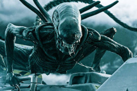 Новый «Чужой» про Землю выйдет только в 2025 году Новый «Чужой» про Землю выйдет только в 2025 году